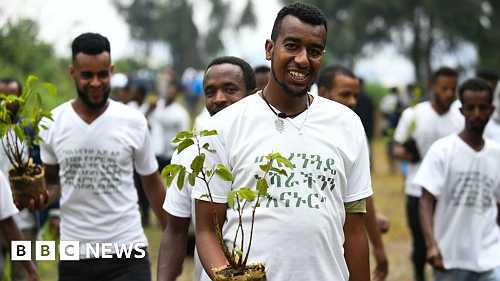 Can you plant 350 million trees in a day?