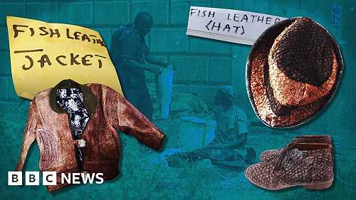 How to turn fish skins into leather jackets