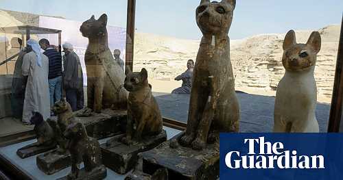Mummified lion and dozens of cats among rare finds in Egypt