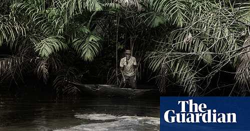 'This place used to be green': the brutal impact of oil in the Niger Delta