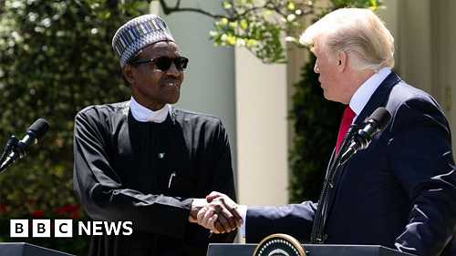 Nigeria's Twitter ban: Donald Trump hails Buhari