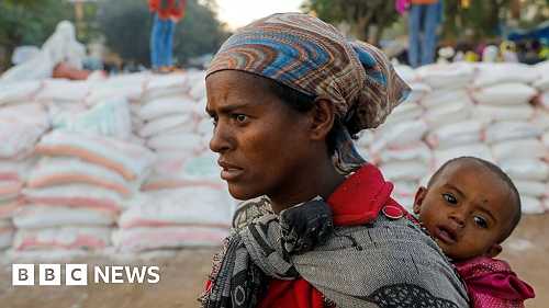 Ethiopia conflict: 33,000 Tigray children risk death from hunger - UN