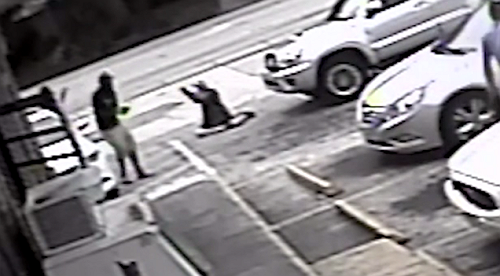 The Stand Your Ground Law Protects Shooter Who Killed Black Man Over Parking Space, Sheriff Says The Stand Your Ground Law Protects Shooter Who Killed Black Man Over Parking Space, Sheriff Says