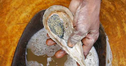 Mali: Director of Australian gold company arrested | Africanews