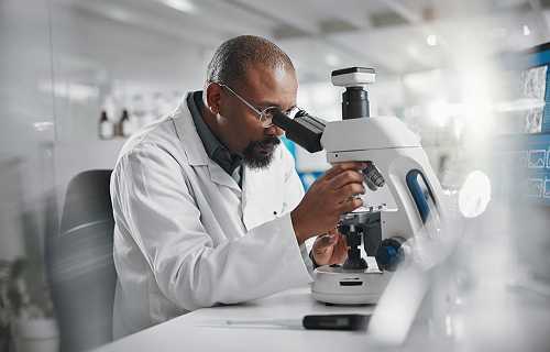 Scientists identify powerful factors to preventing cognitive decline