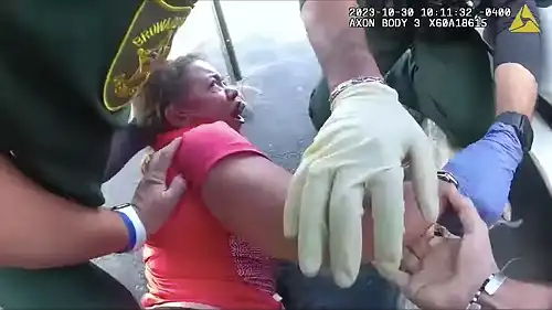 Florida Deputy Break Woman's Arm After Yanking Her Out of Car As She Suffers Mental Health Episode at Florida Hospital