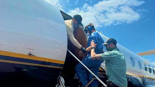 American DRC coup plotters are on their way back to U.S.