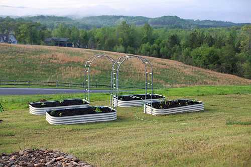 I Started a Garden: Spring 2025