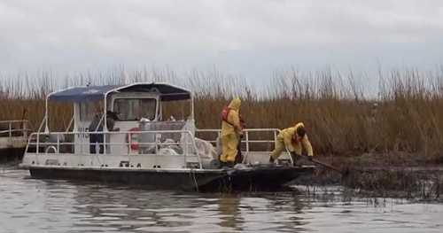 Inside the Louisiana oil spill cleanup efforts