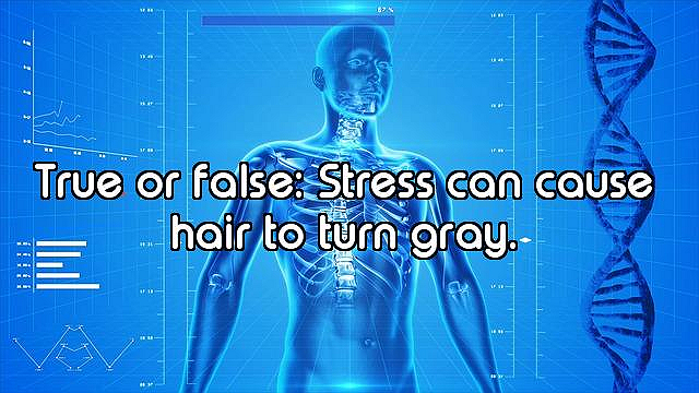 How Well Do You Know the Human Body?