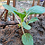 Post: Our hard work to plant vegetables also paid off #Featured #vedetables ...