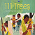 Book Suggestion: 111 Trees HOW ONE VILLAGE CELEBRATES THE BIRTH OF EVERY GIRL