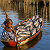 Post: Do you love what you see???? You can get it here. Africa we are blessed
