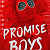 Book Suggestion: Promise Boys