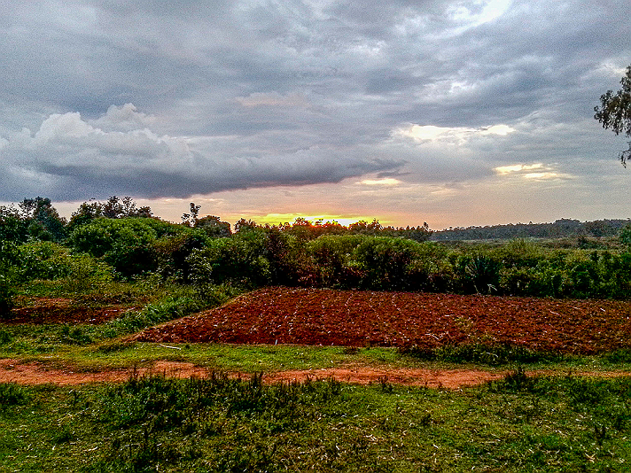 As the sun sinks toward the horizon in Africa, the sky becomes a vast, breathing canvas....