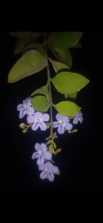 #Featured  # Fresh and strong