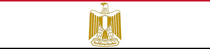 Egypt Networking Hub